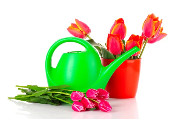 Konewka z tulipanów na białym tle — Zdjęcie stockowe