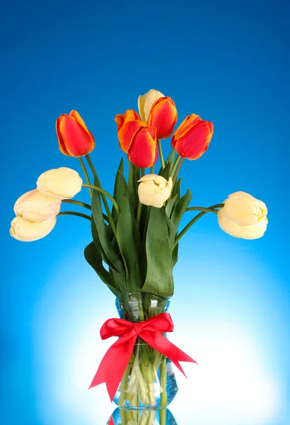 Isolated tulips in a glass vase — Stock Photo, Image