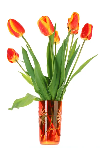 Geïsoleerde tulpen in een glasvaas — Stockfoto