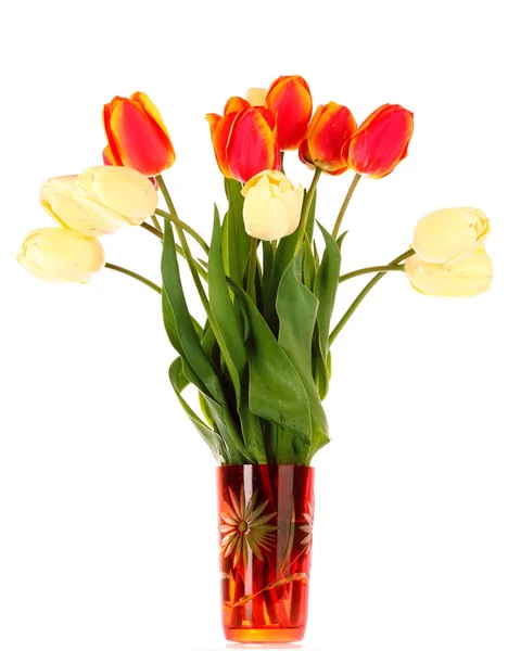 Tulipes isolées dans un vase en verre — Photo
