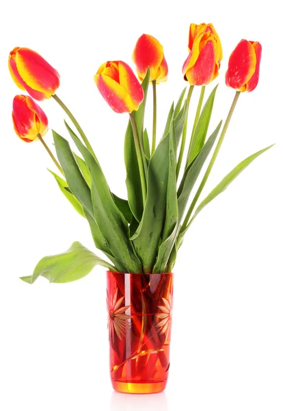 Tulipes rouges sur fond blanc — Photo