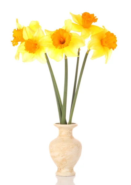 Narcisos amarelos em um vaso — Fotografia de Stock