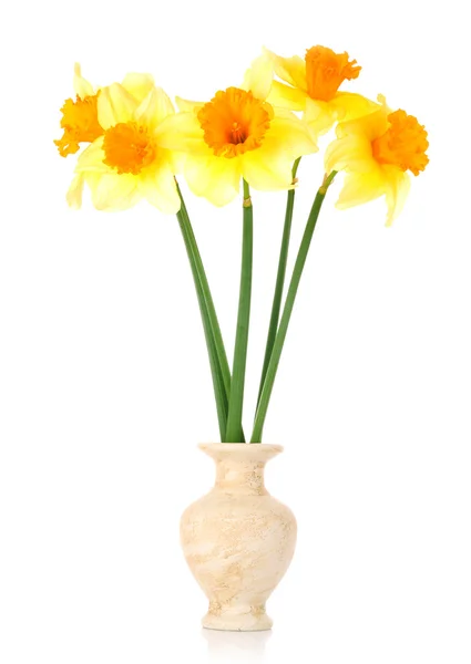 Narcisos amarillos en un jarrón — Foto de Stock
