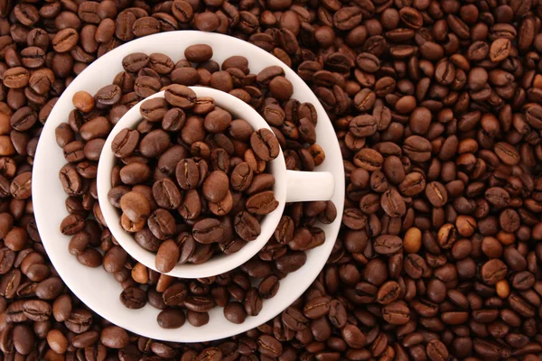 Małe białe filiżanka kawy z ziarna kawy na tle ziarna — Zdjęcie stockowe