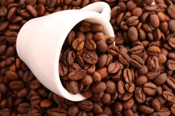 コーヒー コーヒー穀物穀物の背景上の小さな白いカップ — ストック写真