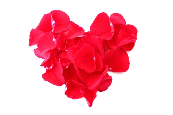 Herz der Blütenblätter roter Rosen isoliert auf weißen — Stockfoto