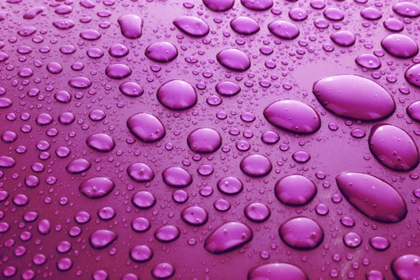 Sfondo di gocce d'acqua viola con gocce grandi e piccole — Foto Stock