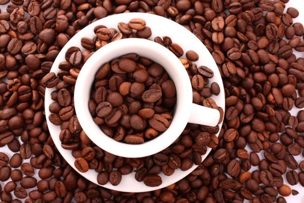 白色小杯咖啡，咖啡谷物粮食背景上 — 图库照片