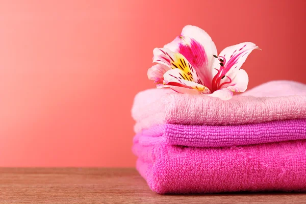Bloem en handdoek — Stockfoto