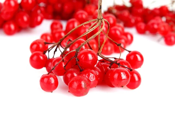 Kartopu kırmızı meyveler üzerinde beyaz izole et. — Stok fotoğraf
