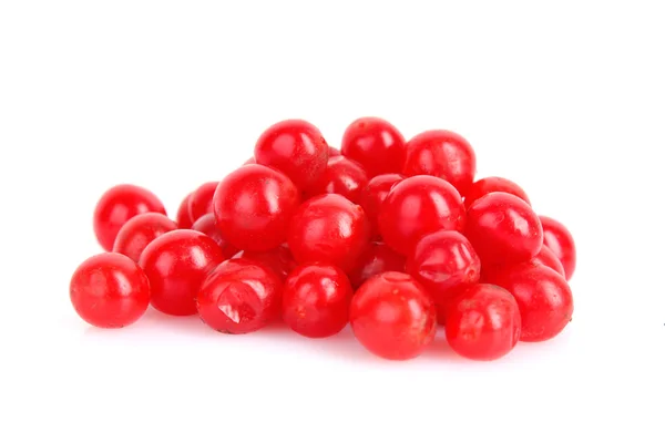 Baies rouges d'isolat de viburnum sur blanc — Photo