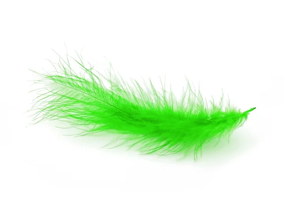 Grüne Feder auf weißem Hintergrund — Stockfoto