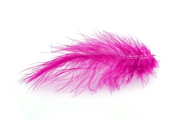 Pink feather op witte achtergrond — Stockfoto