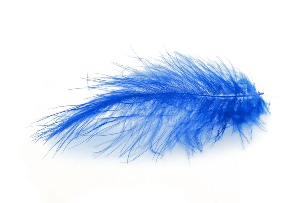 Blue feather over white background — Stock Photo, Image