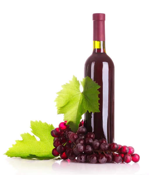 Rotwein und Trauben isoliert auf Weißwein — Stockfoto
