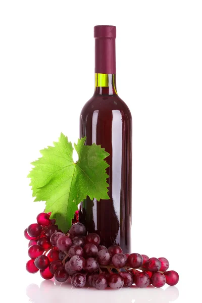 Vino rosso e uve isolate su bianco — Foto Stock