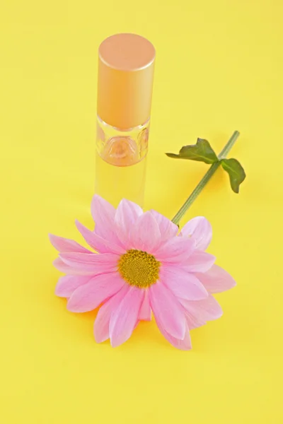 Flacon de parfum et camomille sur fond jaune — Photo