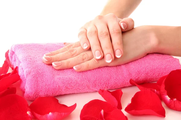 Beautiful woman hands with french manicure and rose petals on pi Stock Picture