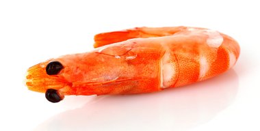 Cooked shelled tiger shrimp isolated on white clipart