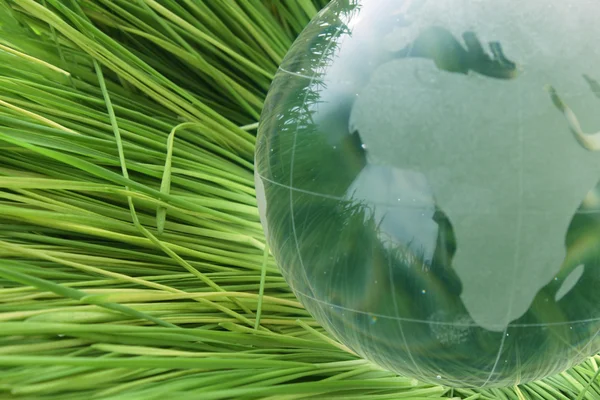 Szkło globe w trawie — Zdjęcie stockowe