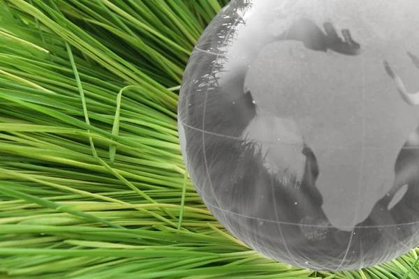 Glass globe in grass — Stock Photo, Image