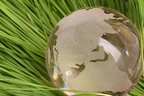 Globe en verre dans l'herbe — Photo