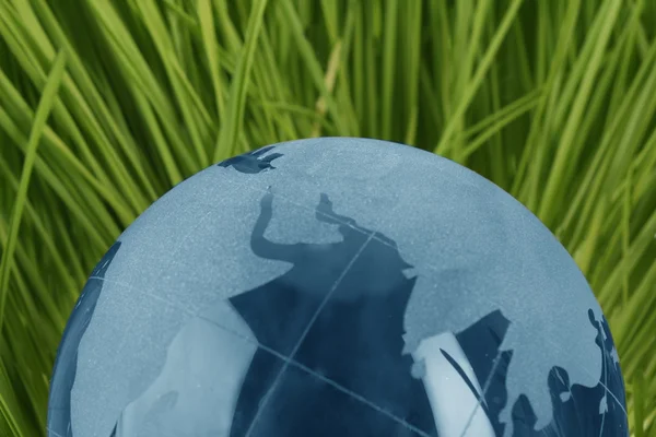 Blue glass globe in grass — Stock Photo, Image