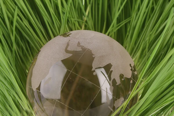Glass globe in grass — Stock Photo, Image