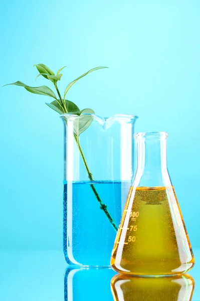 Pflanzen im Reagenzglas — Stockfoto
