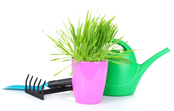 Trawa i narzędzia ogrodowe na białym tle na Zielone Świątki? — Zdjęcie stockowe