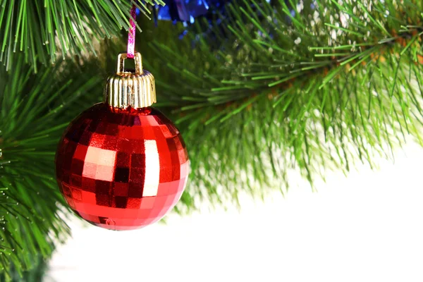 Karácsonyi játék a egyik ága a prémes-fa — Stock Fotó