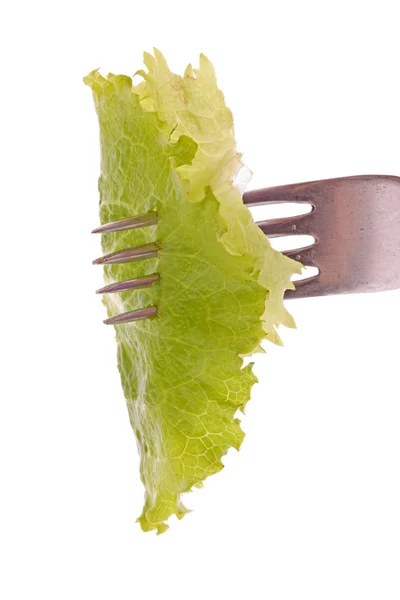 Отказ от lettuke изолированы на белом — стоковое фото
