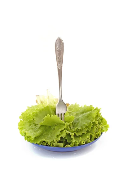 Салат на тарелке на белом — стоковое фото