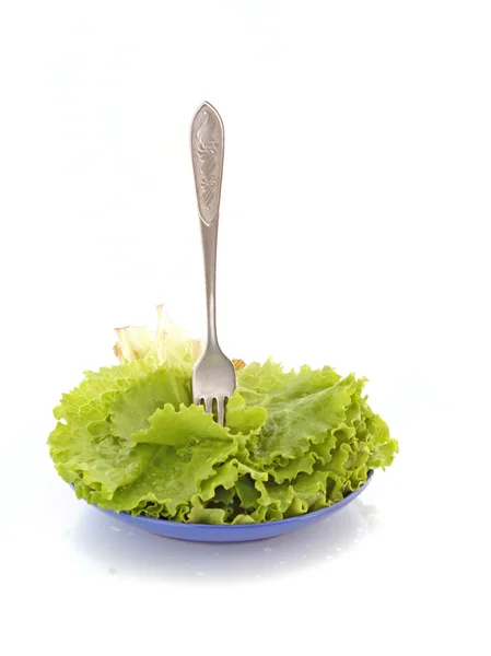 Салат на тарелке на белом — стоковое фото