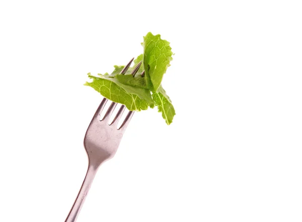 Forkful of lettuce isolated on white — Stock Photo, Image