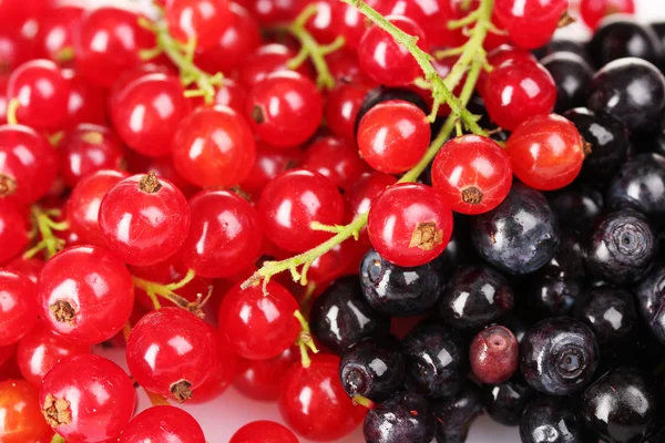 Vackra röda vinbär och blåbär — Stockfoto
