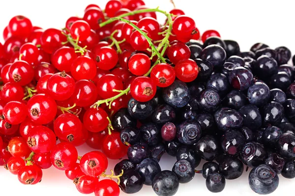 stock image Beautiful red currant and blueberry