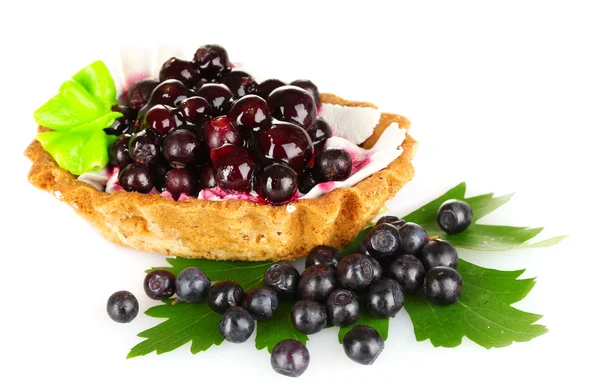 God kaka med grädde och blåbär isolerad på vit — Stockfoto