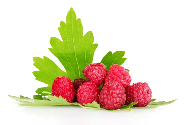 stock image Beautiful raspberries and leaves isolated on white