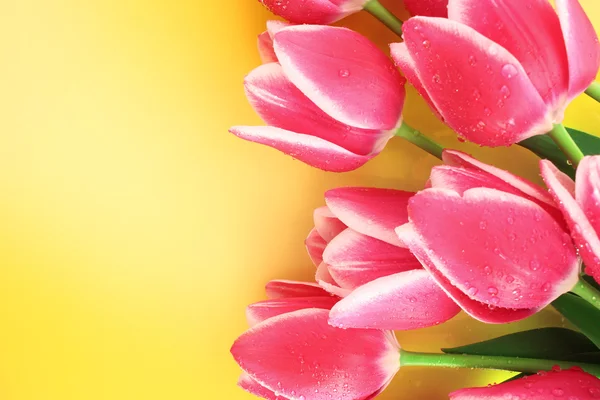 Buquê de tulipas e como fundo para cartão postal — Fotografia de Stock