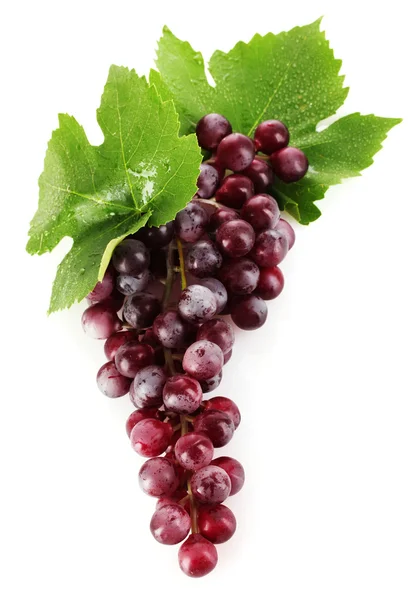 Różowe winogrona izolowane na białym — Zdjęcie stockowe