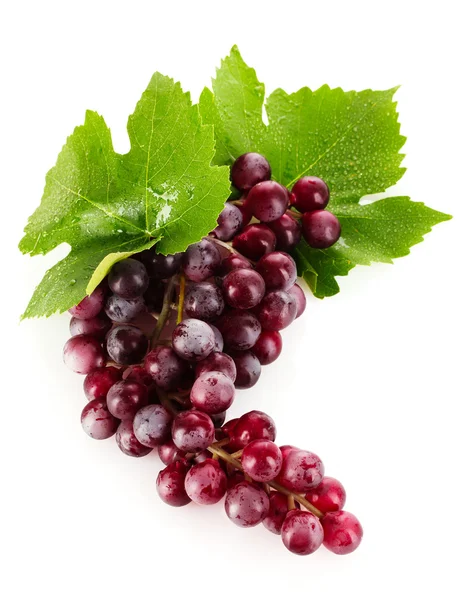 Розовый виноград, выделенный на белом — стоковое фото