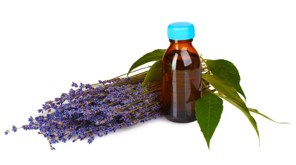 Lavendel und Öl in Flasche isoliert auf weiß — Stockfoto