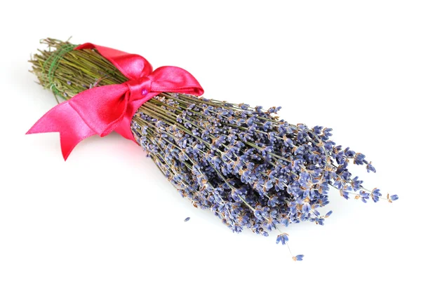 Beautiful lavender isolated on white — Stock Photo, Image