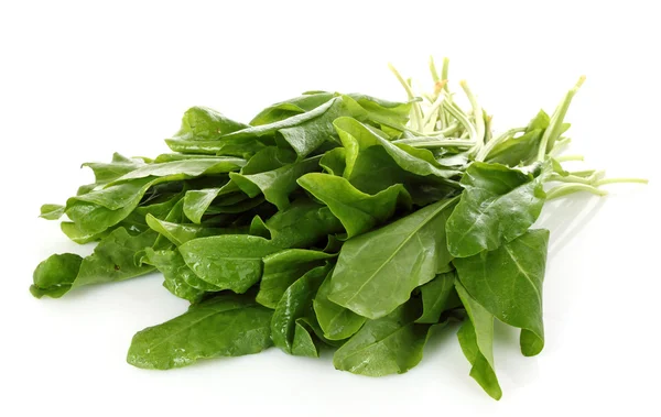 Fresh leaves of a sorrel on a white background — Stock Photo, Image