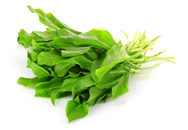 Fresh leaves of a sorrel on a white background — Stock Photo, Image