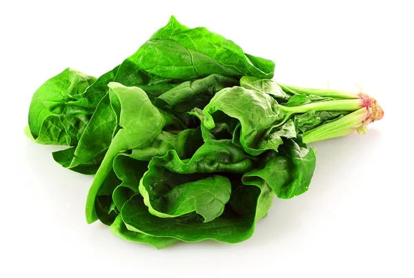 Bunch of spinach isolated on white background — Stock Photo, Image