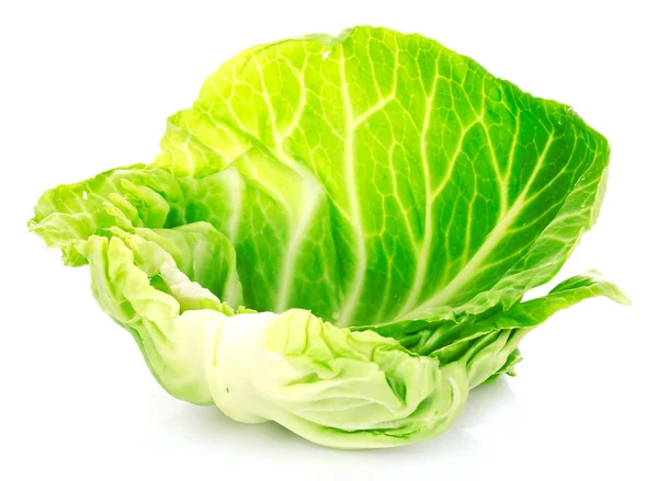 A single cabbage leaf on white — Stock Photo, Image