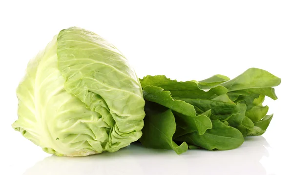 Fresh leaves of a sorrel and cabbage on a white background — Stock Photo, Image