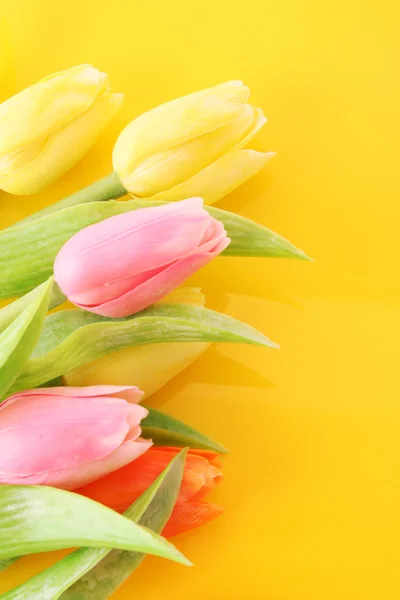 Muchos tulipanes coloridos en el fondo de color — Foto de Stock